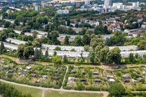 Alles im grünen Bereich: Blick auf die Römerstadt